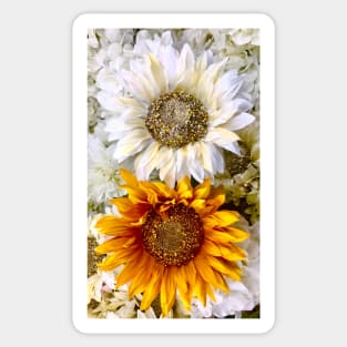 Sunflowers Golden Yellow and Autumn White Sticker